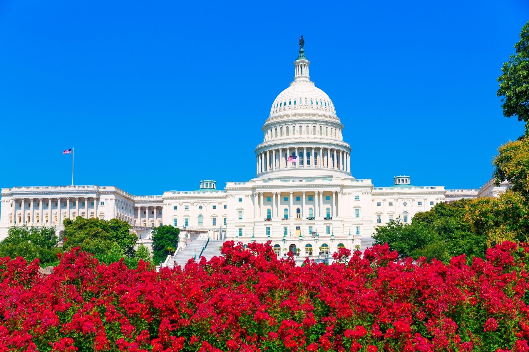 US Capital